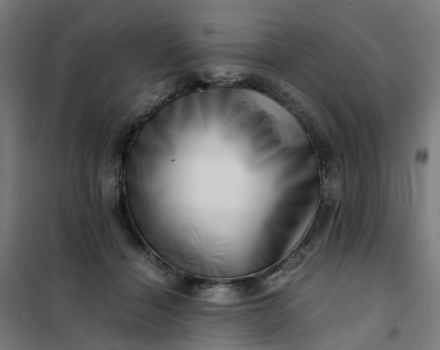 X0000101710460200807241459