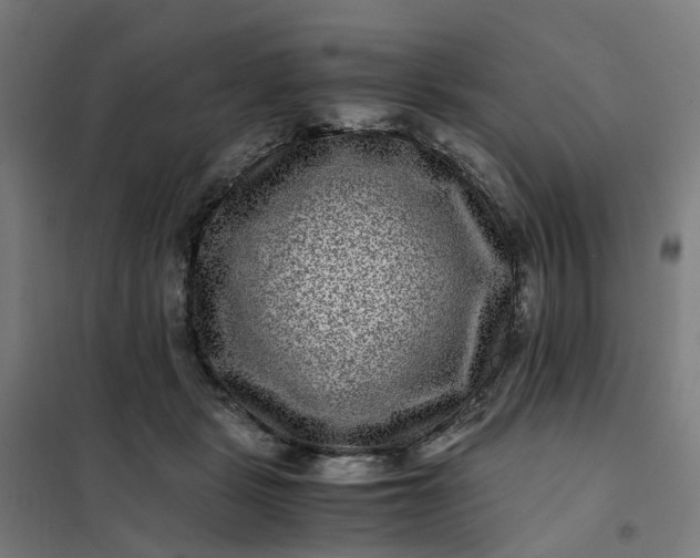 X0000101710461200807241459