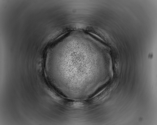 X0000101710462200807241459