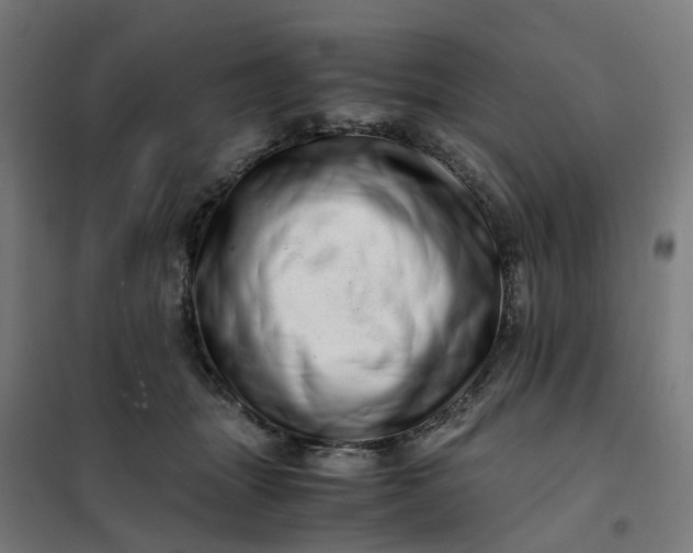 X0000101710463200807241459