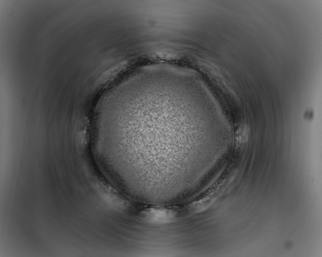 X0000101710464200807241459