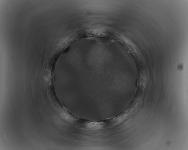 X0000101710465200807241500