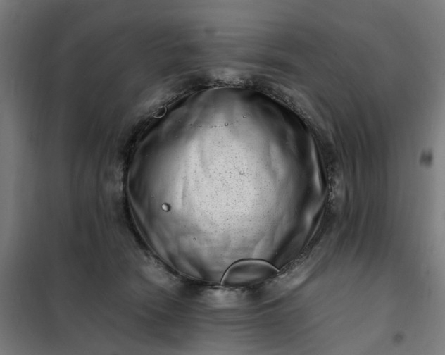 X0000101710466200807241500