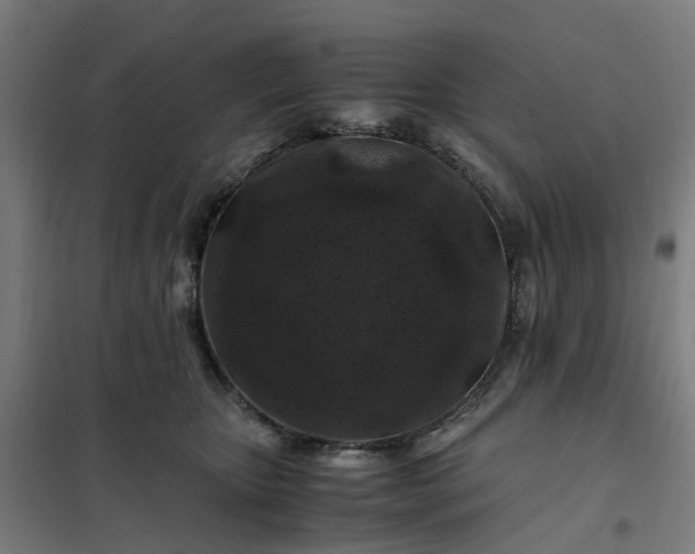 X0000101710467200807241500