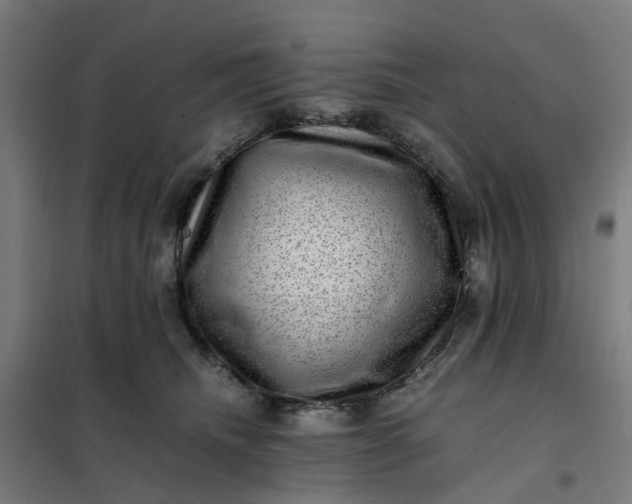 X0000101710468200807241500