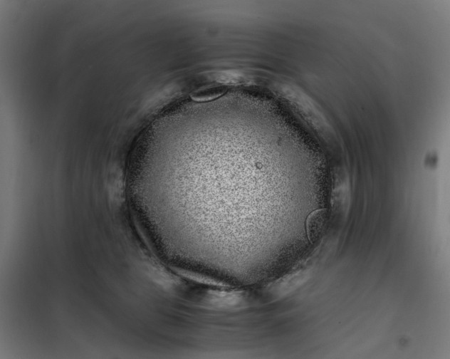 X0000101710469200807241500