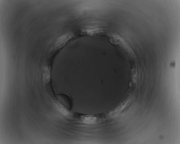 X0000101710471200807241500