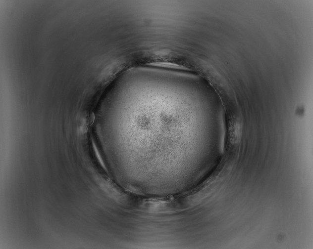 X0000101710472200807241500