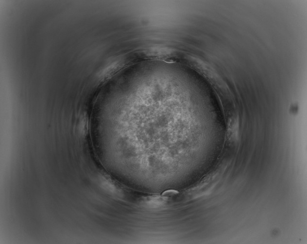 X0000101710474200807241500