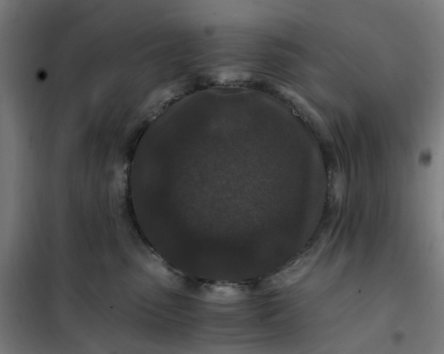 X0000101710475200807241500