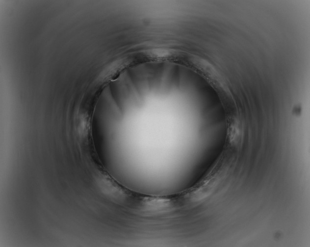 X0000101710476200807241500