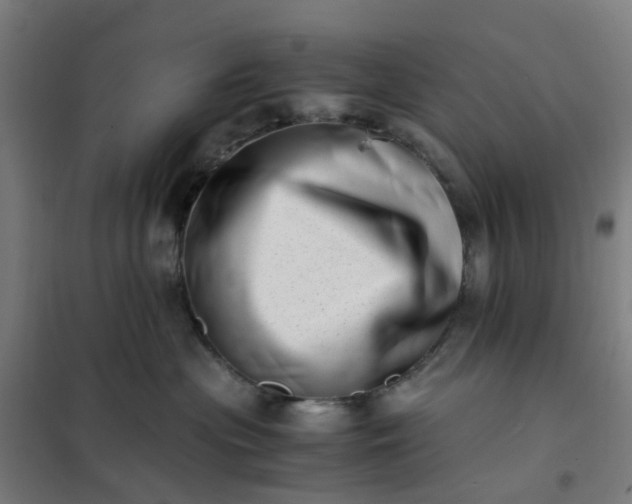 X0000101710477200807241500