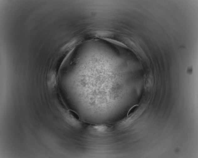 X0000101710478200807241500