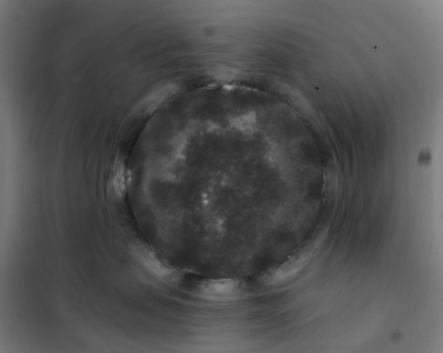 X0000101710479200807241500