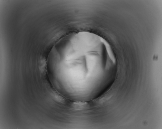 X0000101710480200807241500