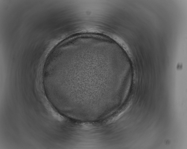 X0000101710481200807241459