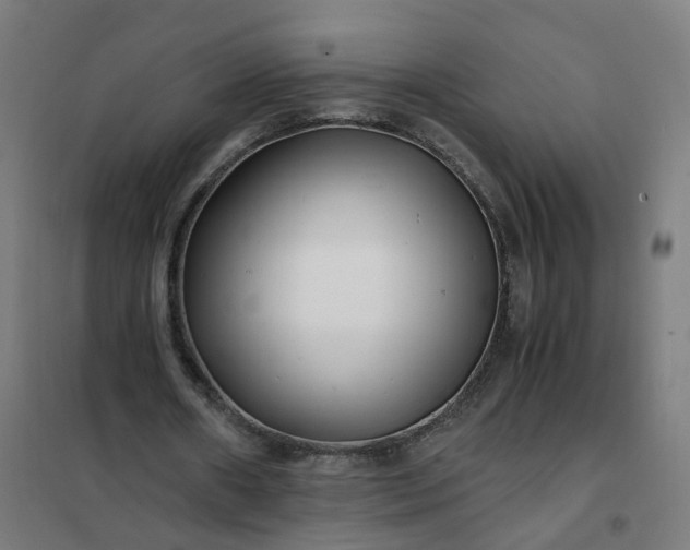 X0000101710482200807241459