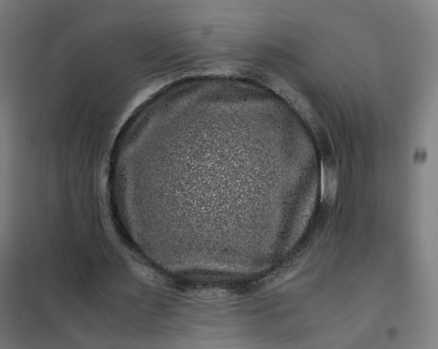 X0000101710483200807241459