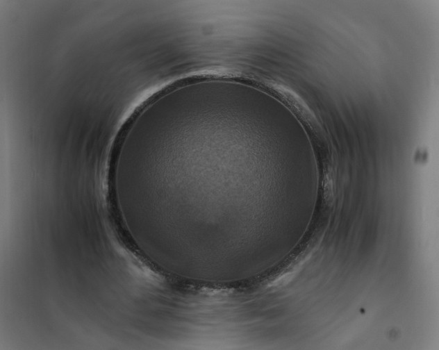 X0000101710484200807241459