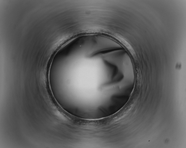 X0000101710485200807241459