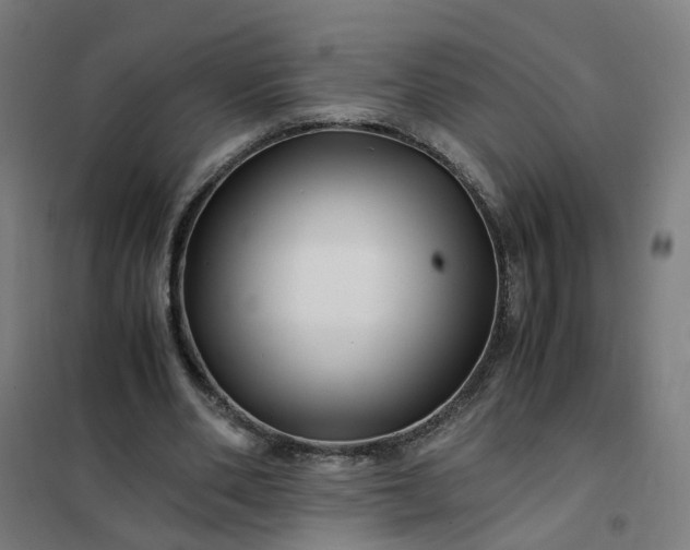 X0000101710486200807241459