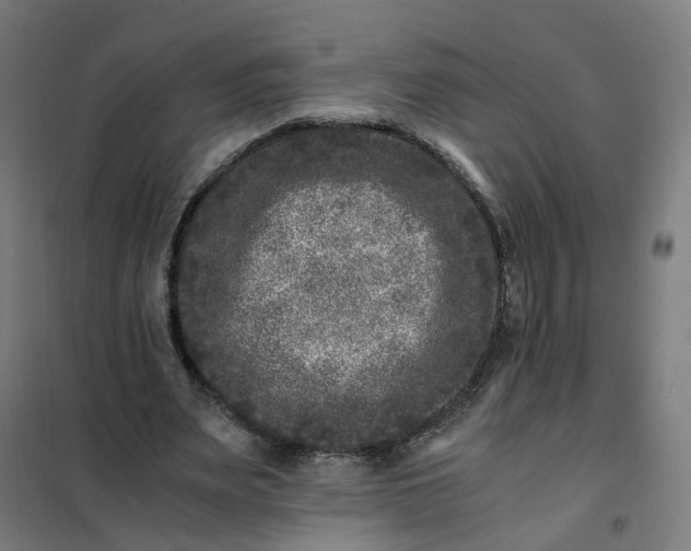 X0000101710487200807241459