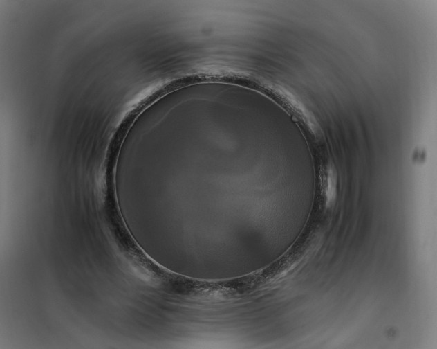 X0000101710488200807241459