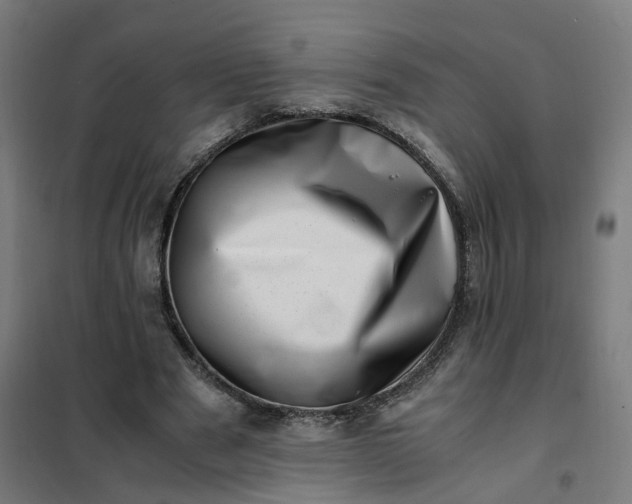 X0000101710489200807241459