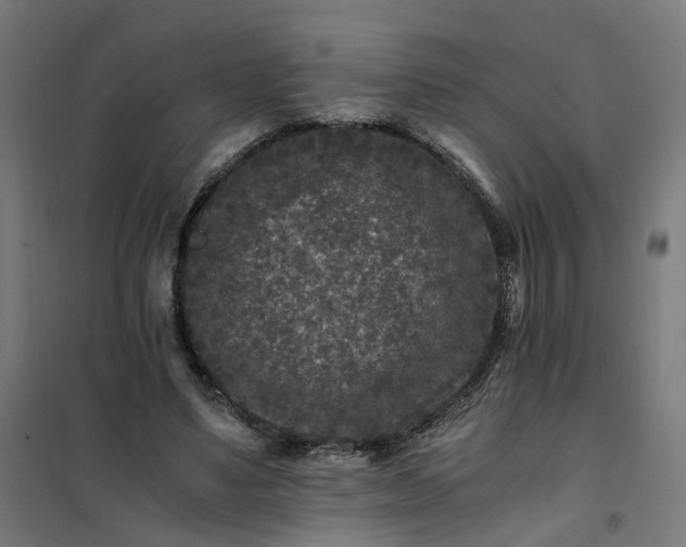 X0000101710491200807241459