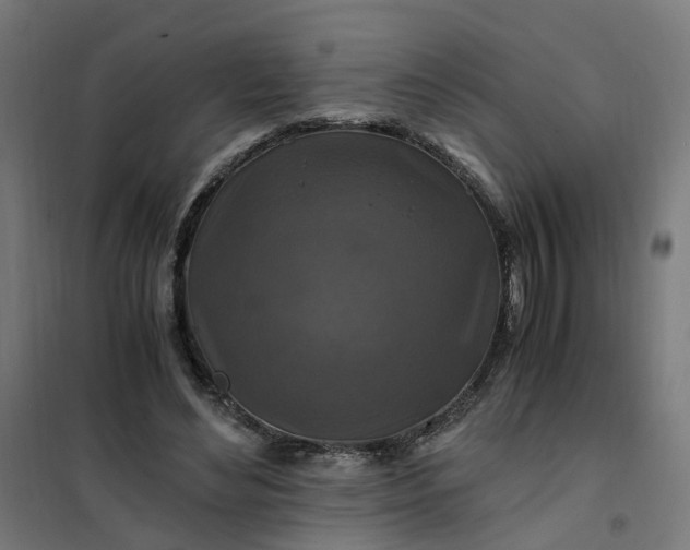 X0000101710492200807241459