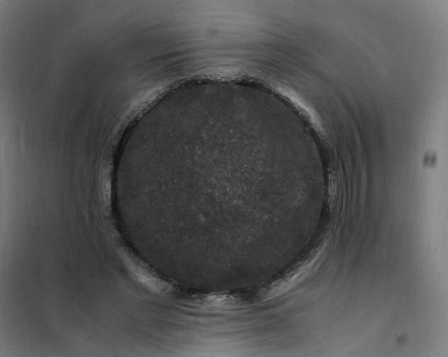 X0000101710493200807241459