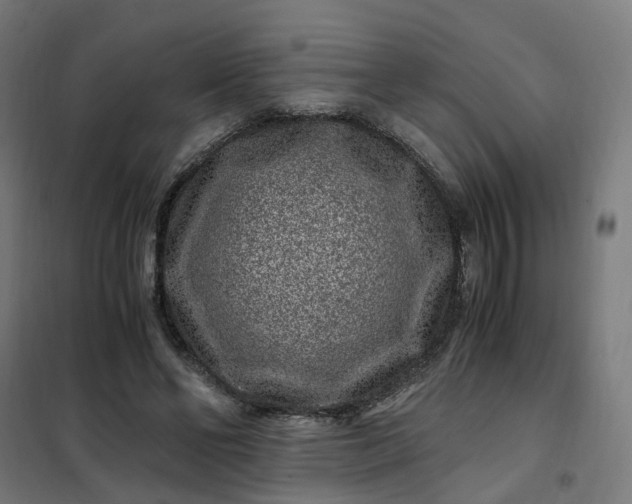 X0000101710494200807241459