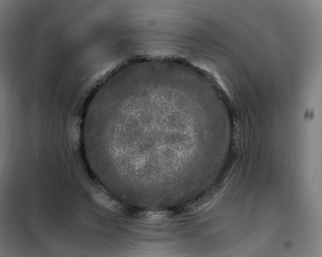 X0000101710495200807241459