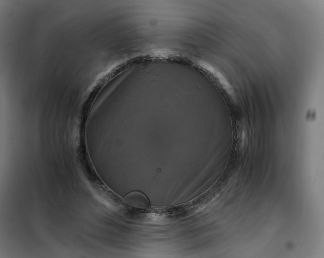 X0000101710496200807241459