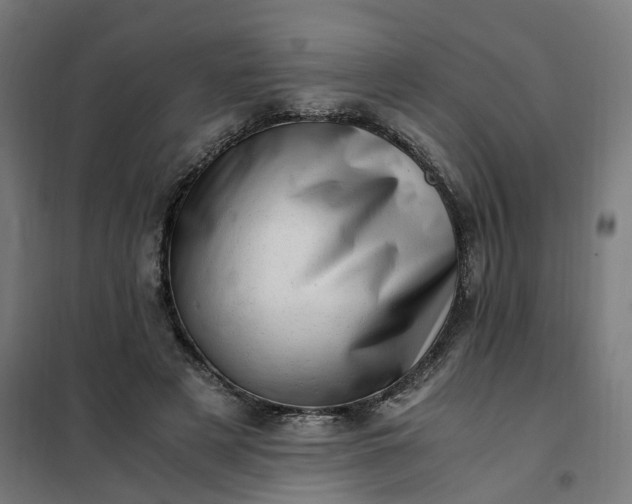 X0000101710497200807241459