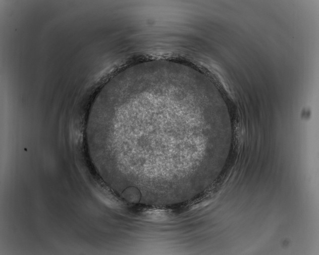 X0000101710499200807241459