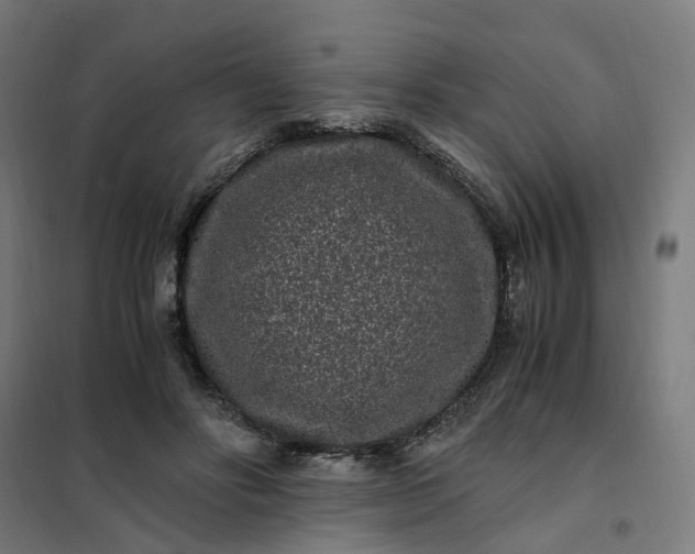 X0000101710502200807241459