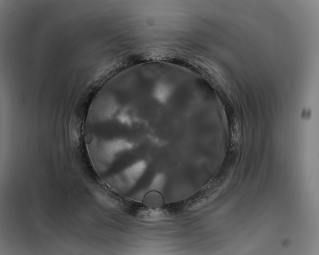 X0000101710503200807241459