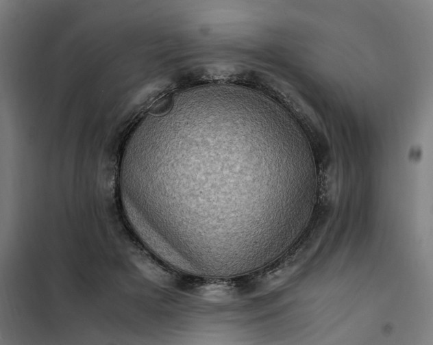 X0000101710505200807241459