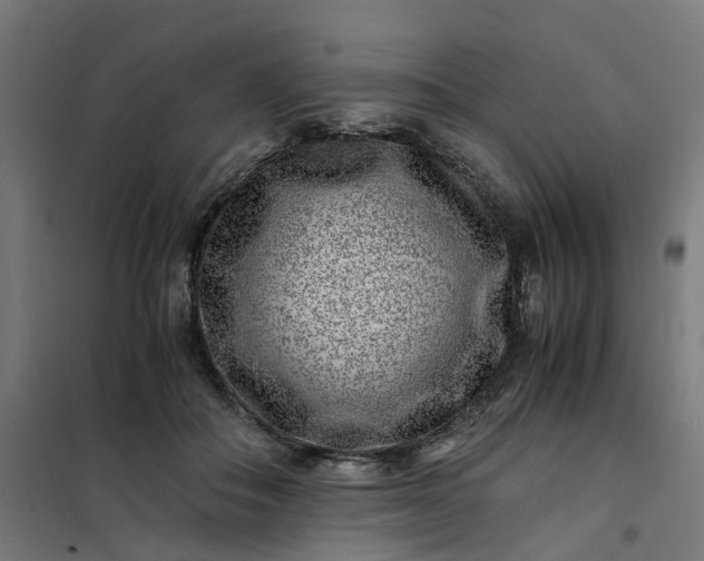 X0000101710506200807241459