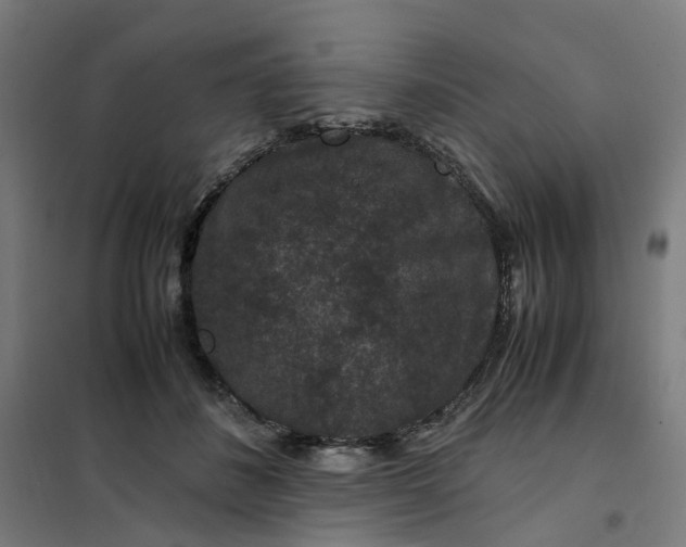 X0000101710508200807241459