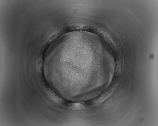 X0000101710509200807241459