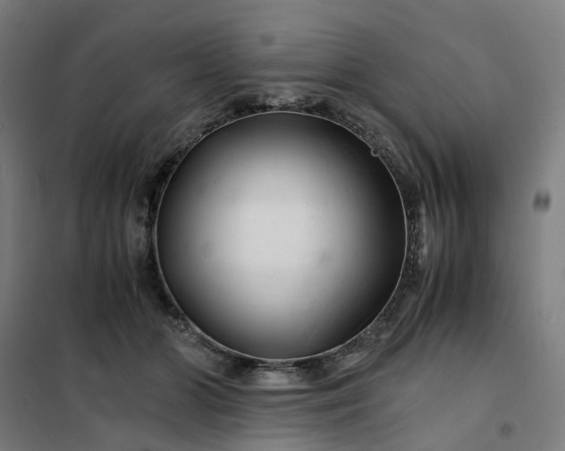 X0000101710510200807241459