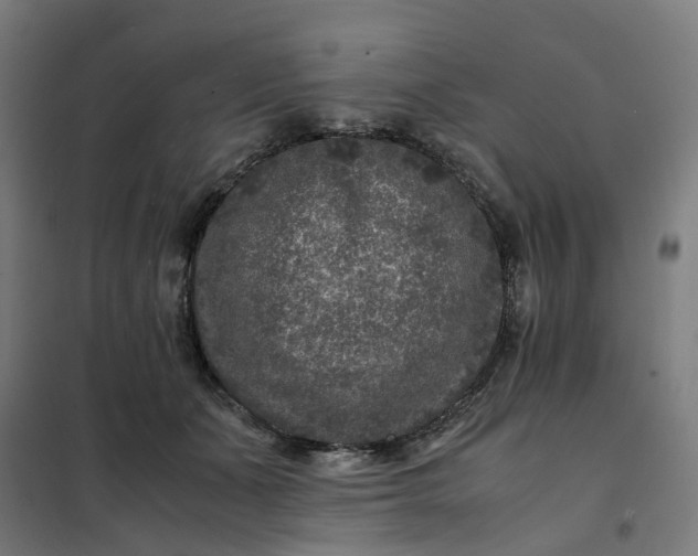 X0000101710511200807241459