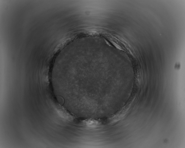 X0000101710512200807241459