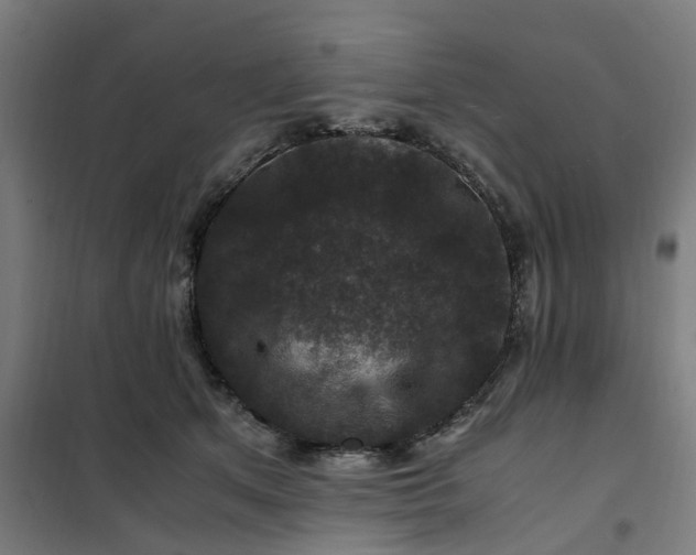 X0000101710513200807241459