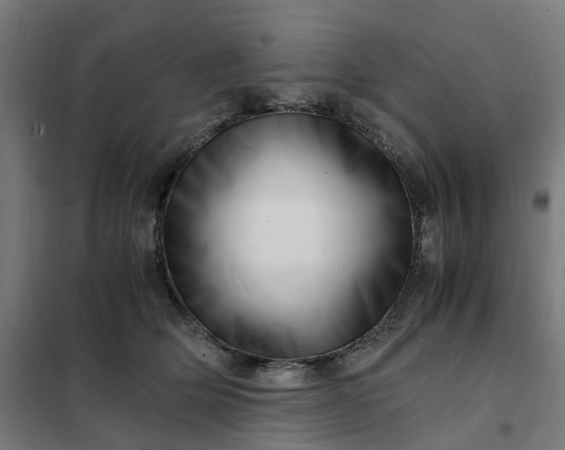 X0000101710514200807241459