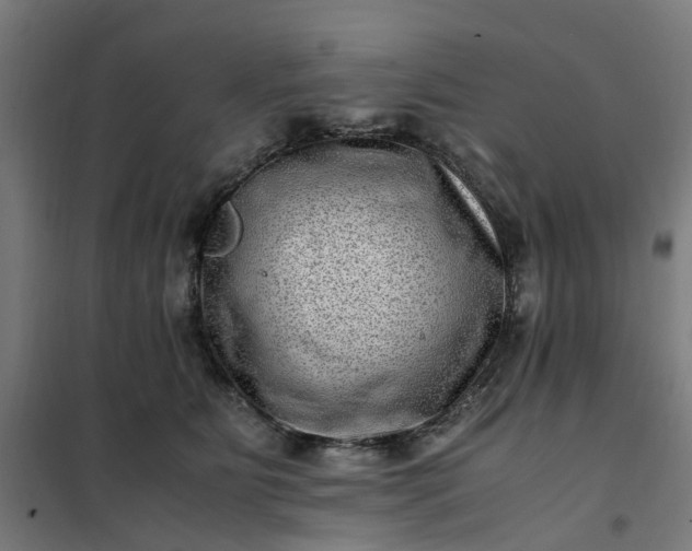 X0000101710515200807241459