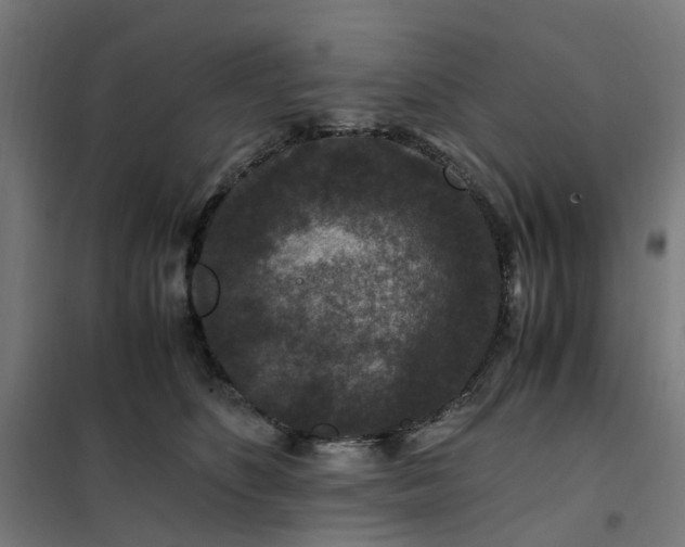 X0000101710516200807241459