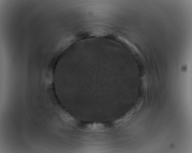 X0000101710517200807241459